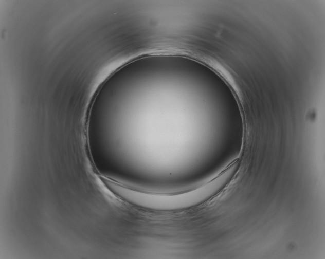 X0000090931485200708201817