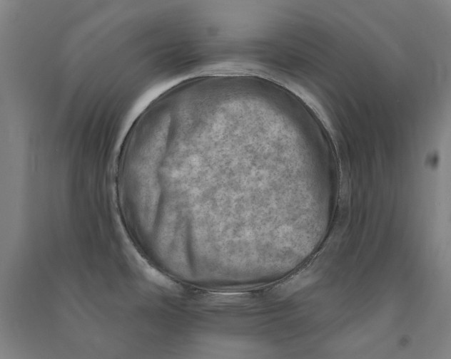 X0000090931486200708201817