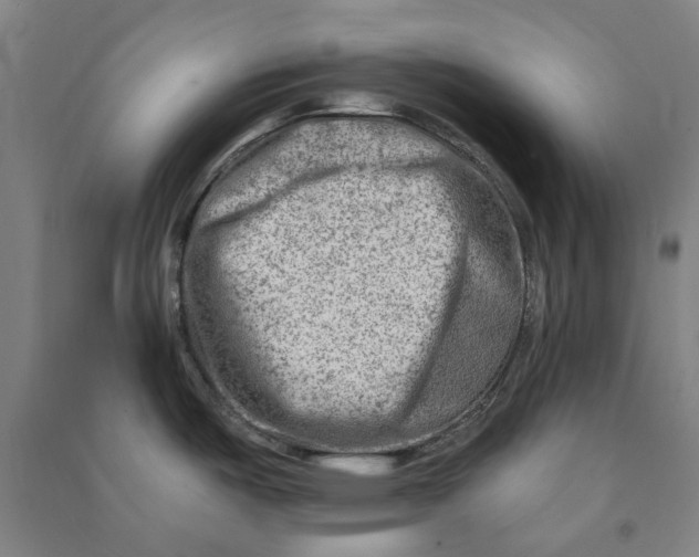 X0000090931487200708201817