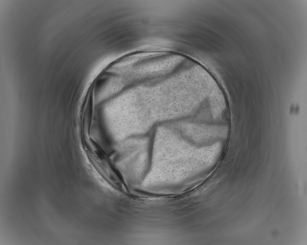 X0000090931488200708201817