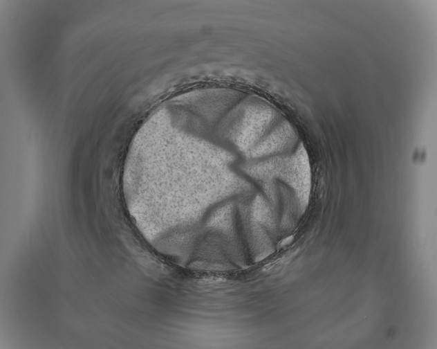 X0000090931489200708201816