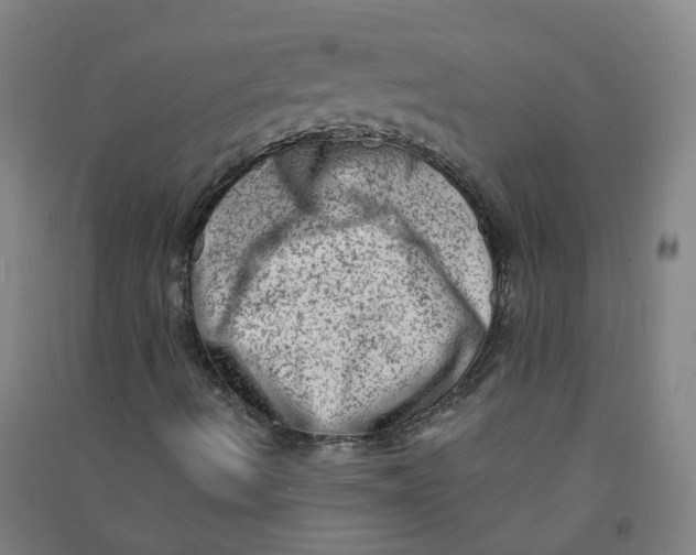 X0000090931490200708201816