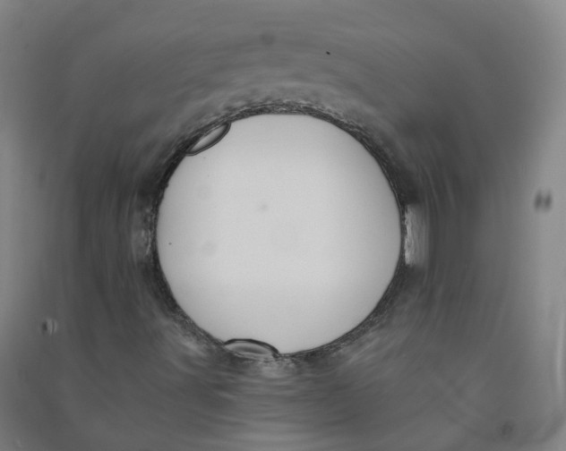 X0000090931491200708201816