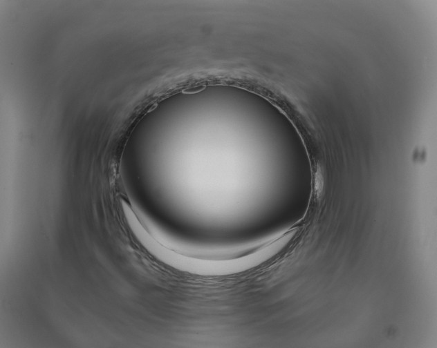 X0000090931492200708201816