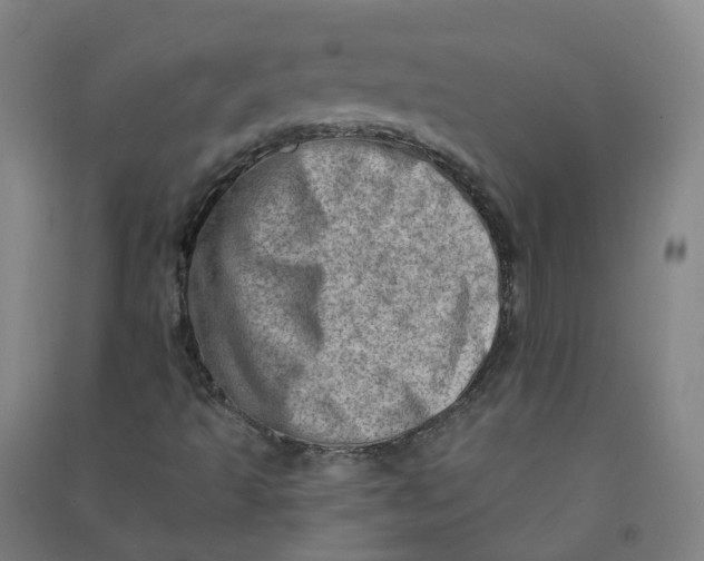 X0000090931493200708201816