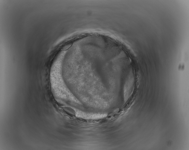 X0000090931494200708201816