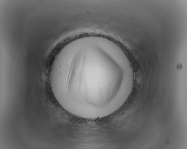 X0000090931495200708201816