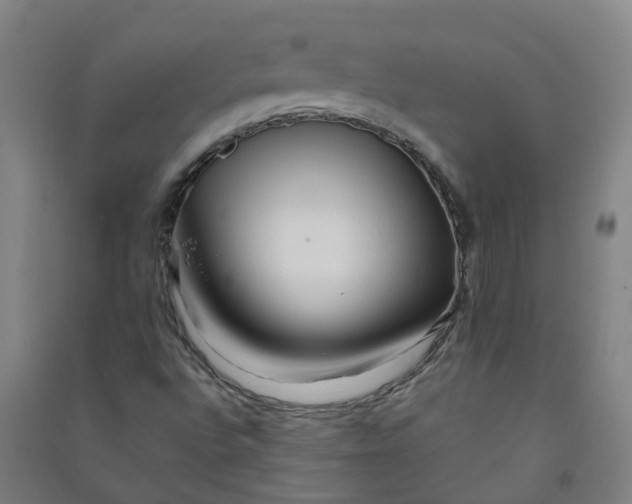 X0000090931496200708201817