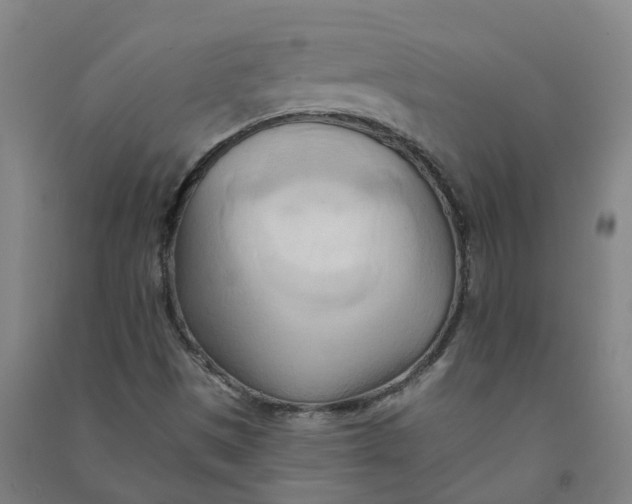 X0000090931497200708201817