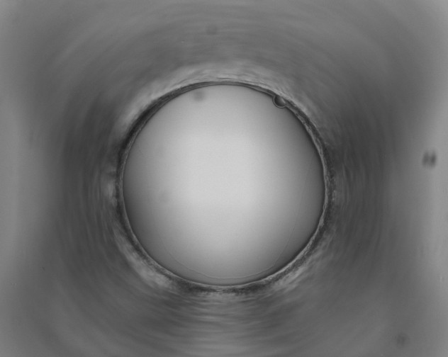 X0000090931499200708201817