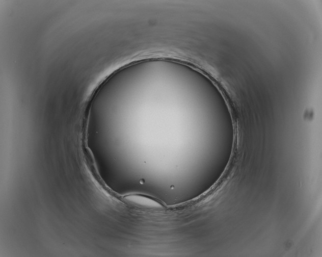 X0000090931500200708201817