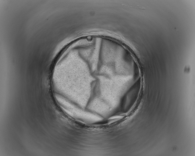 X0000090931501200708201817