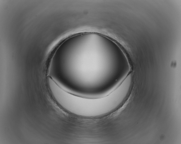 X0000090931502200708201817