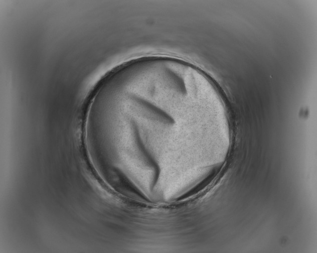 X0000090931503200708201817