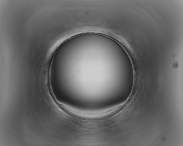 X0000090931504200708201817