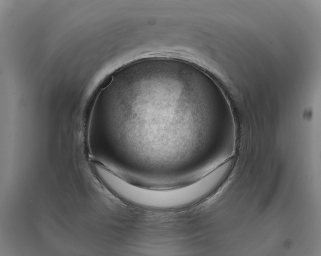 X0000090931506200708201817