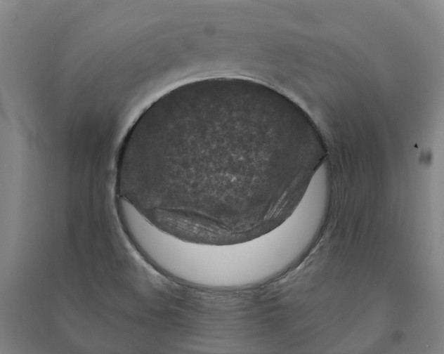 X0000090931508200708201817