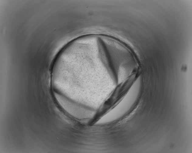 X0000090931509200708201817