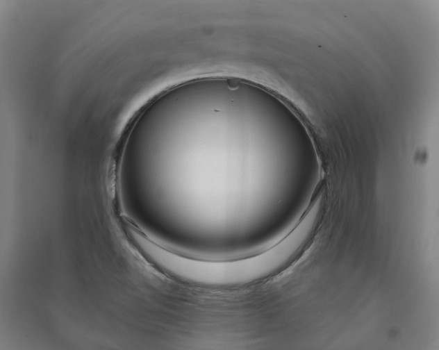 X0000090931510200708201817