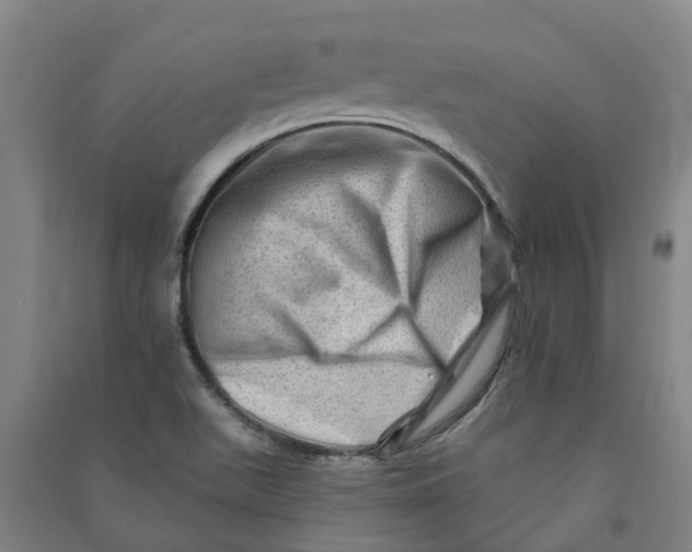 X0000090931511200708201817