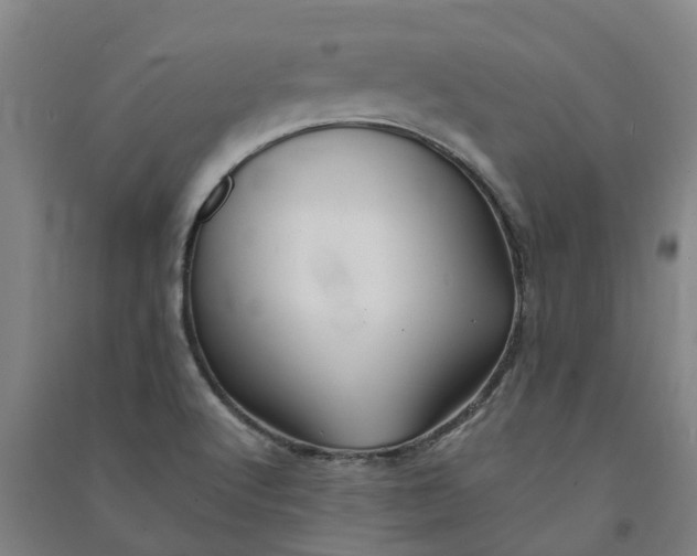 X0000090931512200708201817