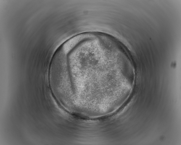 X0000090931513200708201817