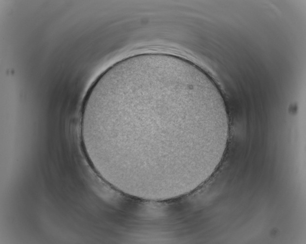 X0000090931514200708201817