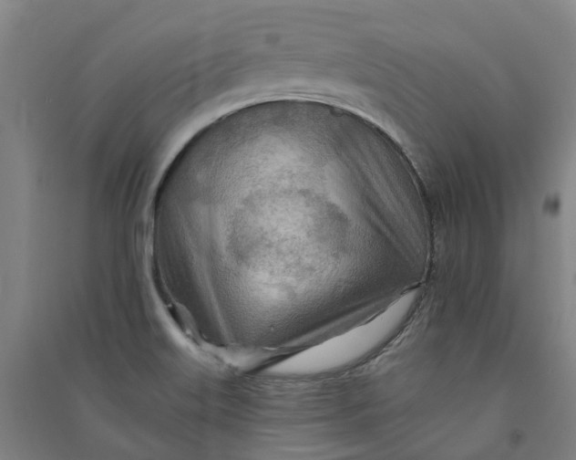 X0000090931515200708201817