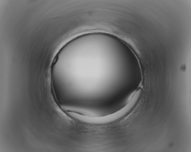 X0000090931516200708201817