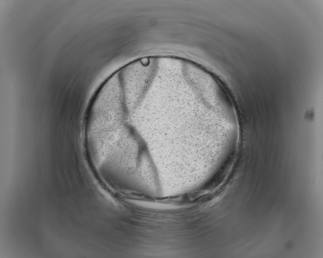 X0000090931517200708201817