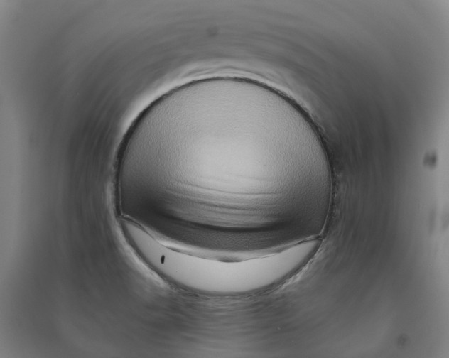 X0000090931518200708201817