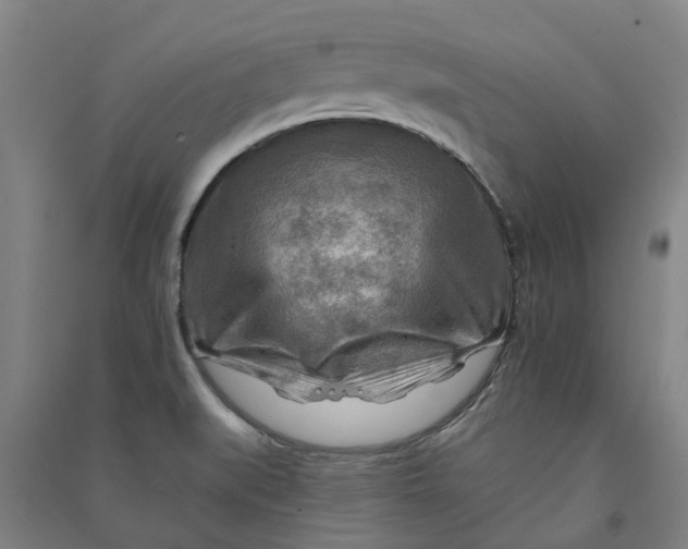 X0000090931519200708201817