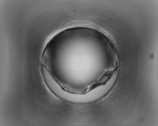 X0000090931520200708201817