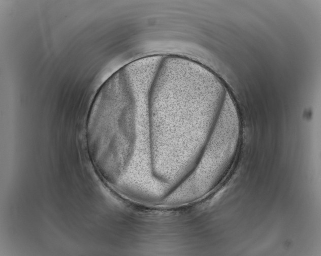 X0000090931521200708201817