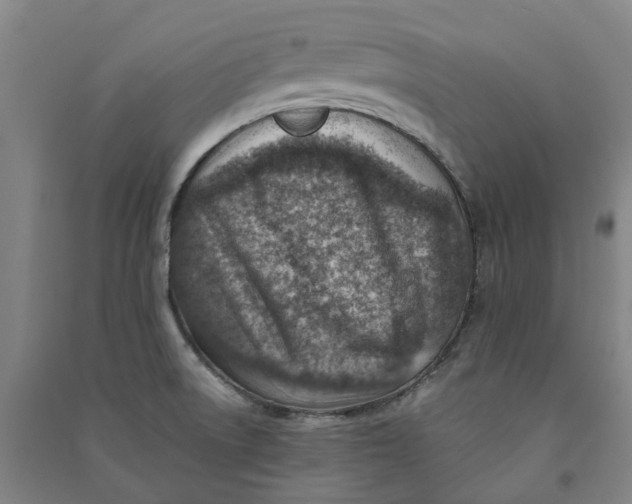 X0000090931522200708201817