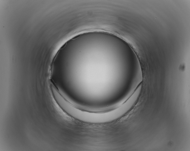 X0000090931524200708201817