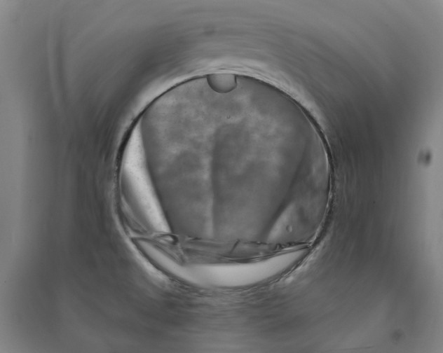 X0000090931525200708201817