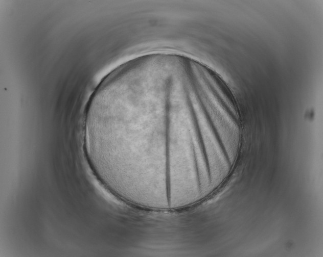 X0000090931526200708201817