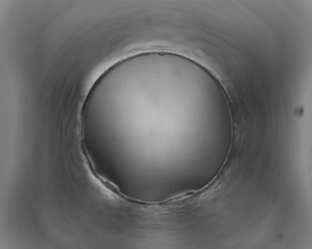 X0000090931527200708201817