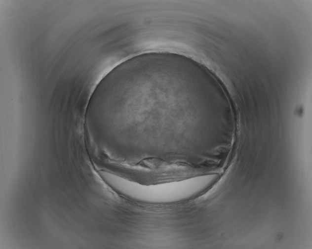 X0000090931529200708201817