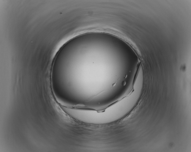 X0000090931530200708201817