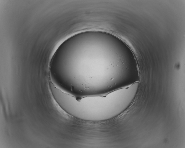 X0000090931532200708201817