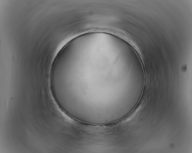 X0000090931533200708201817