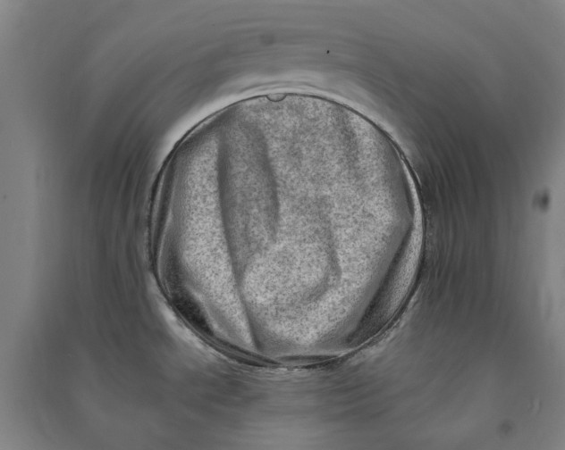 X0000090931534200708201817