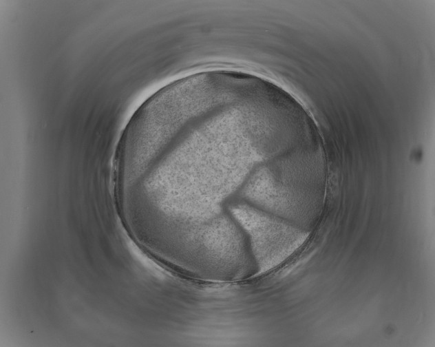 X0000090931535200708201817