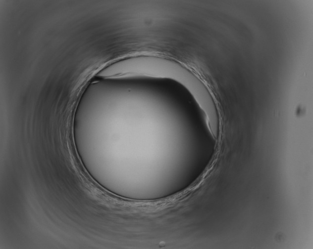 X0000090930001200708271053