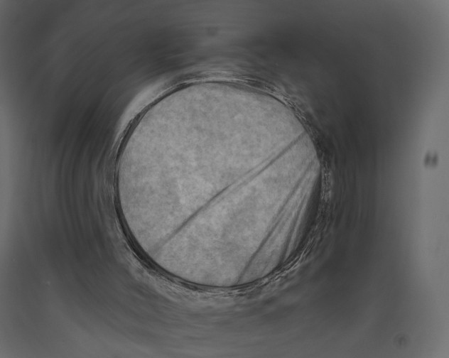 X0000090930004200708271053