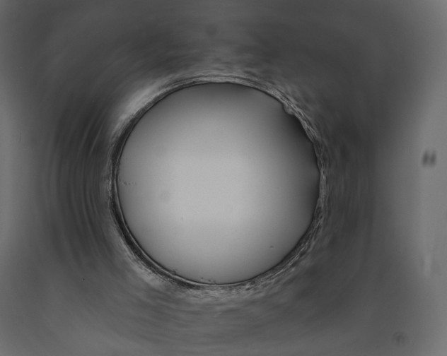 X0000090930005200708271053