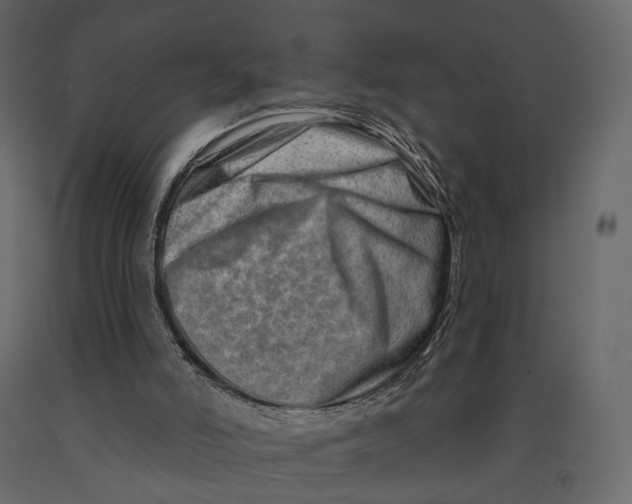 X0000090930006200708271053