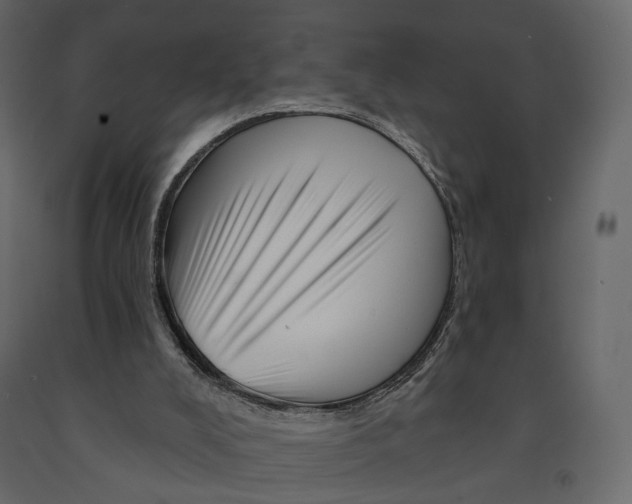 X0000090930008200708271053